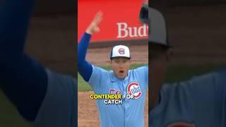 Ian Happ Catch of the Year?  #sports #baseball #mlb #shortsfeed #shorts #cubs #chicago #viral
