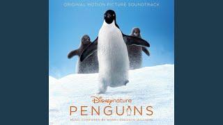 The Penguin March