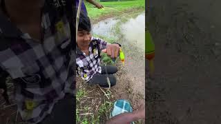 Amazing boys catching fish with hook #fishing #hookfishing #shorts