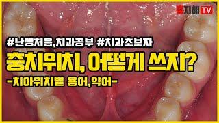 [난생처음,치과공부] #4.치아 위치별 치과용어,약어 구강내 용어