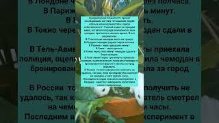СТАРЫЙ ЗАБАВНЫЙ АНЕКДОТ #анекдоты #Юмор #История #Жизнь #Анекдот #Прикол #США