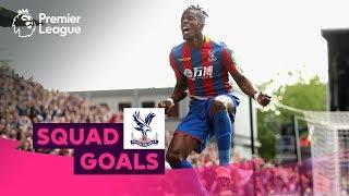 Incredible Crystal Palace Goals | Zaha, Milivojevic, Townsend | Squad Goals