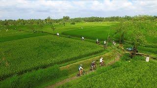 Electric Bike Tour in Ubud, Bali