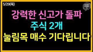 강력한 신고가 돌파 주식 2개 매수 기회 기다립니다.