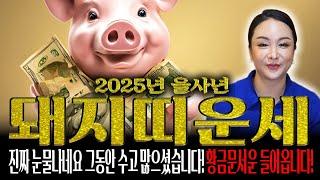 2025년 신년운세 돼지띠운세 10년 '대운'이 찾아왔다 돼지띠운세 59년생 71년생 83년생 95년생 돼지띠운세 / 신년운세