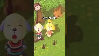 강아지 주민 TMI  #샐리의모동숲