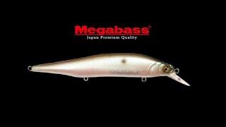 How Brandon Palaniuk Uses the Megabass Ito Shiner Jerkbait