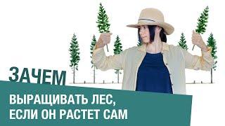 Зачем человеку выращивать лес, если природа умеет это делать сама (второе издание)