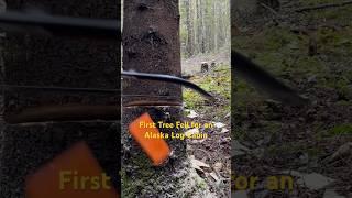 Building an Off-Grid Log Cabin in the Alaskan Wilderness #alaska #bushcraft