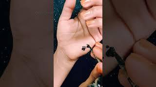 Tiny Cat's Paw Tattoo Art with Henna  