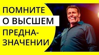 Высшее предназначение | Cила Жизни