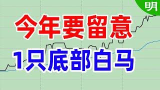 今年一定要留意，1只底部白马！（2023.08.20）阿明说美股