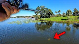 Bass Fishing Thick Cover In Orlando Florida ft. Captain Goggles