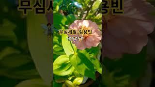 #김용빈-무심세월#사랑의 콜센타