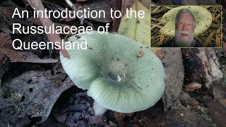 Patrick Leonard - An Introduction to Russulaceae