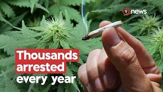 Kiwis in prison for pot possession cost taxpayers $1.3m | 1News on TVNZ+