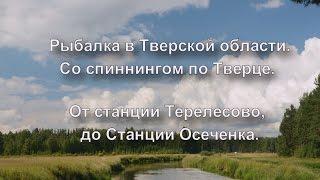 Рыбалка в Тверской области. Со спиннингом по Тверце. Из Ст.Терелесово до Ст.Осеченка. Видеоотчет