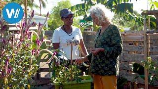 La Réunion - Die Wiederbelebung der kreolischen Gärten (ARTE 360° Reportage)