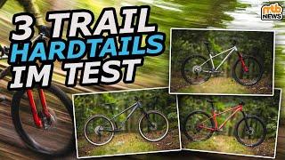 3 Trail-Hardtails im Vergleichstest: Welches ist das BESTE MTB bis 1.500 €?