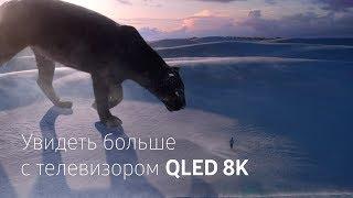 Samsung |Телевизор QLED 8K