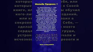 Выучи эту молитву — найди покой сердца #хадис #субханаллах #религия #любовь
