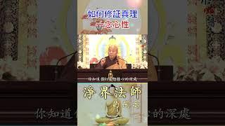 真理一念心性, 如何修証 | 淨界法師  #佛教 #佛法 #阿彌陀佛 #正能量