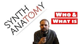 WHO & WHAT IS SYNTH ANATOMY? Answers To The Most Important Questions!