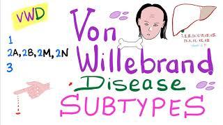 Von Willebrand Disease (VWD) Subtypes: Type 1, 2A, 2B, 2M, 2N, and 3