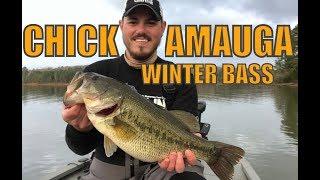 CHICKAMAUGA LAKE Chasing Winter Bass