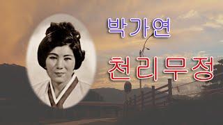 박가연- 천리무정 /(영상출연가수 박채영)스타365