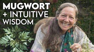 Mugwort Magic & Intuitive Wisdom | Robin Rose Bennett