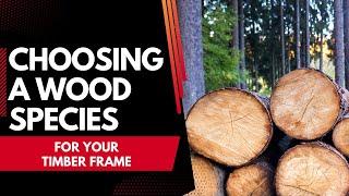 Choosing a Wood Species for your Timber Frame