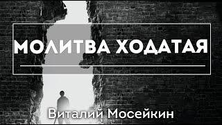 Виталий Мосейкин : "Молитва ходатая." | г.Доброполье 16.01.22