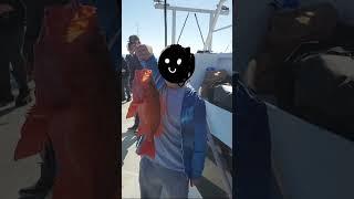 Deep sea fishing, got a ton of rockfish + a bonus mackerel (like and sub for more content) #fishing