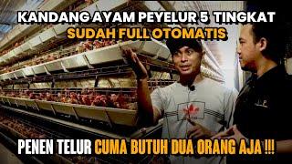 CUMA BUTUH DUA ORANG !!! KANDANG AYAM PETELUR 5 TINGKAT SERBA OTOMATIS | Tandang Ke Kandang