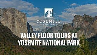 Valley Floor Tours at Yosemite National Park | TravelYosemite.com