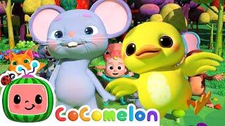 Animal Dance Song | CoComelon Furry Friends | Animals for Kids