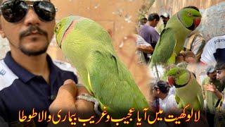 Sunday Lalukhet Birds Market mein aya ek Ajeeb sa Tota | PBI Official