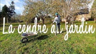 Un amendement gratuit : La cendre de bois