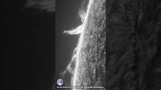 Stunning Solar Eruptions! Prominences Captured Through My Telescope #astronomy #space