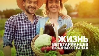 телеканал Первый Вегетарианский. Промо-ролик 2