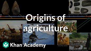 Origins of agriculture  | World History | Khan Academy