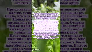 рассказ #история #рассказ