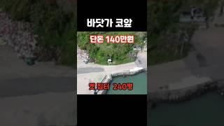 그냥 사세요~대지240평 “옛집터” 단돈140만원~ 본전 뽑겠다[#옥션통 #땅지통]