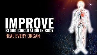 Improve Your Blood Circulation In Whole Body | Keep Your Brain and Heart Healthy | Heal Every Organ