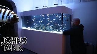 6FT AFRICAN malawi mbuna CICHLID TANK epic