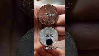 Copper and Silver have similar  magnetic properties