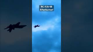 Eflite 80mm F-18 EDF!!! LED Afterburner from Freewing. #RC #aviation #RC #RCplane #jet #rcjet