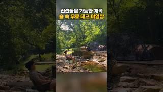 취사 가능 계곡 숲 속에 숨겨진 무료 데크야영장