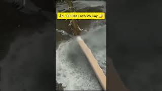 ÁP 500 BAR TÁCH VỎ CÂY #muasamnhanh